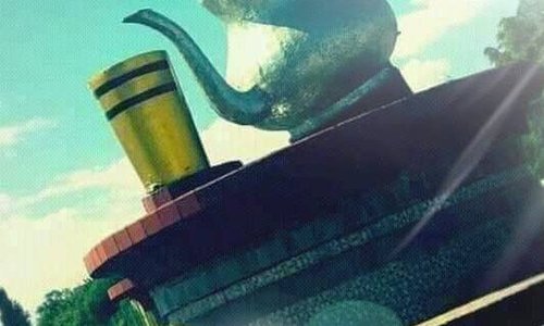 عندما ترى هذه الصورة، فأكيد أنت في مدينة مغنية بولاية تلمسان بالجزائر وهي تعبر عن الشاي 