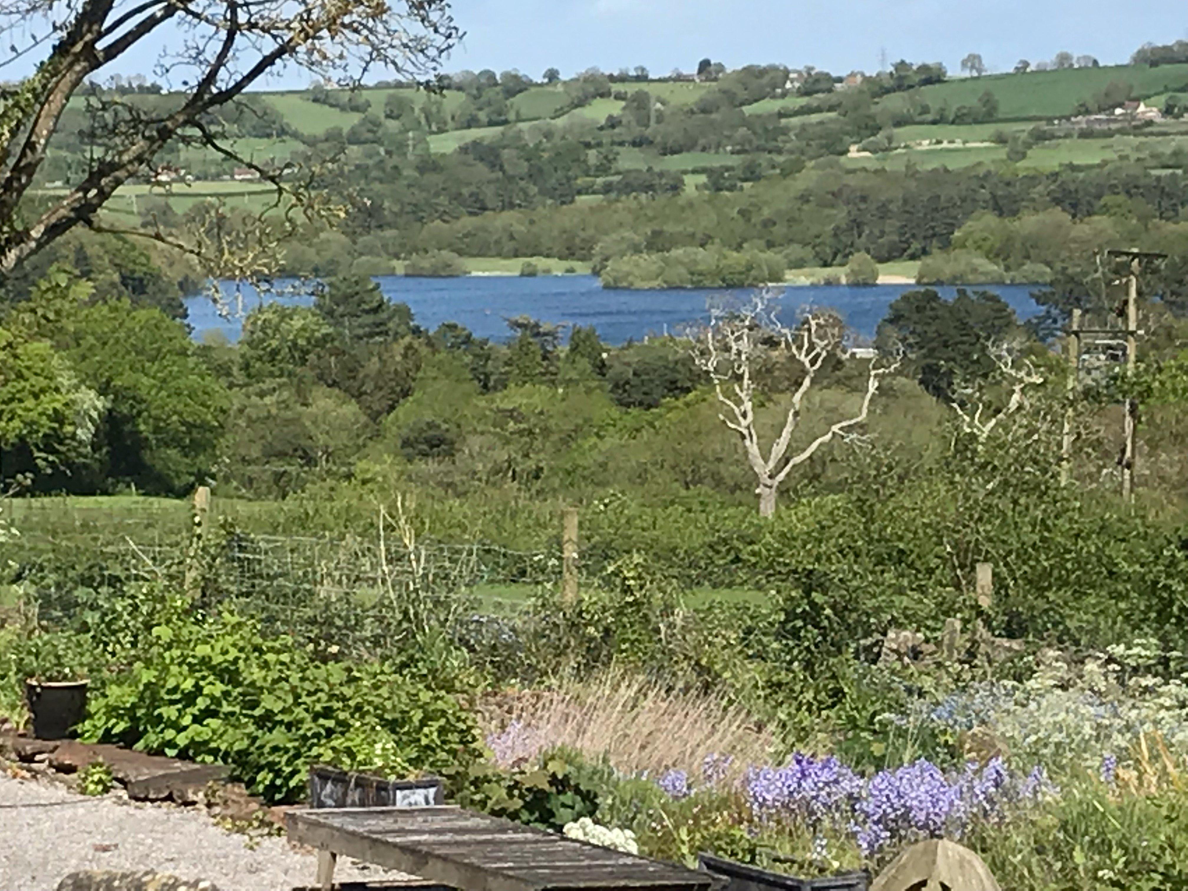 COOMBE LODGE FARM HOUSE: Bewertungen, Fotos & Preisvergleich (Blagdon ...