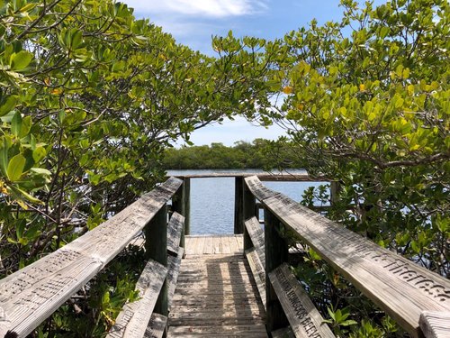 St. James City Fl: Discover the Beauty of Southwest Florida  
