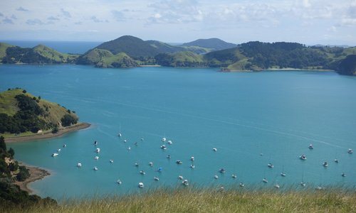 Мой любимый полуостров Coromandel, New Zealand
