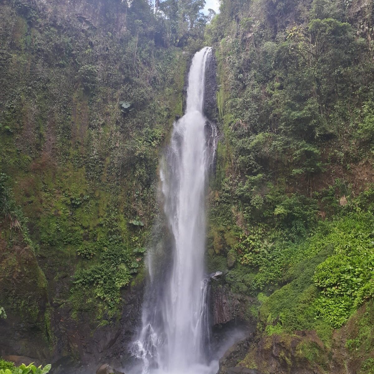 Водопадами коста