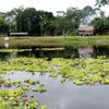 amazonas best experience