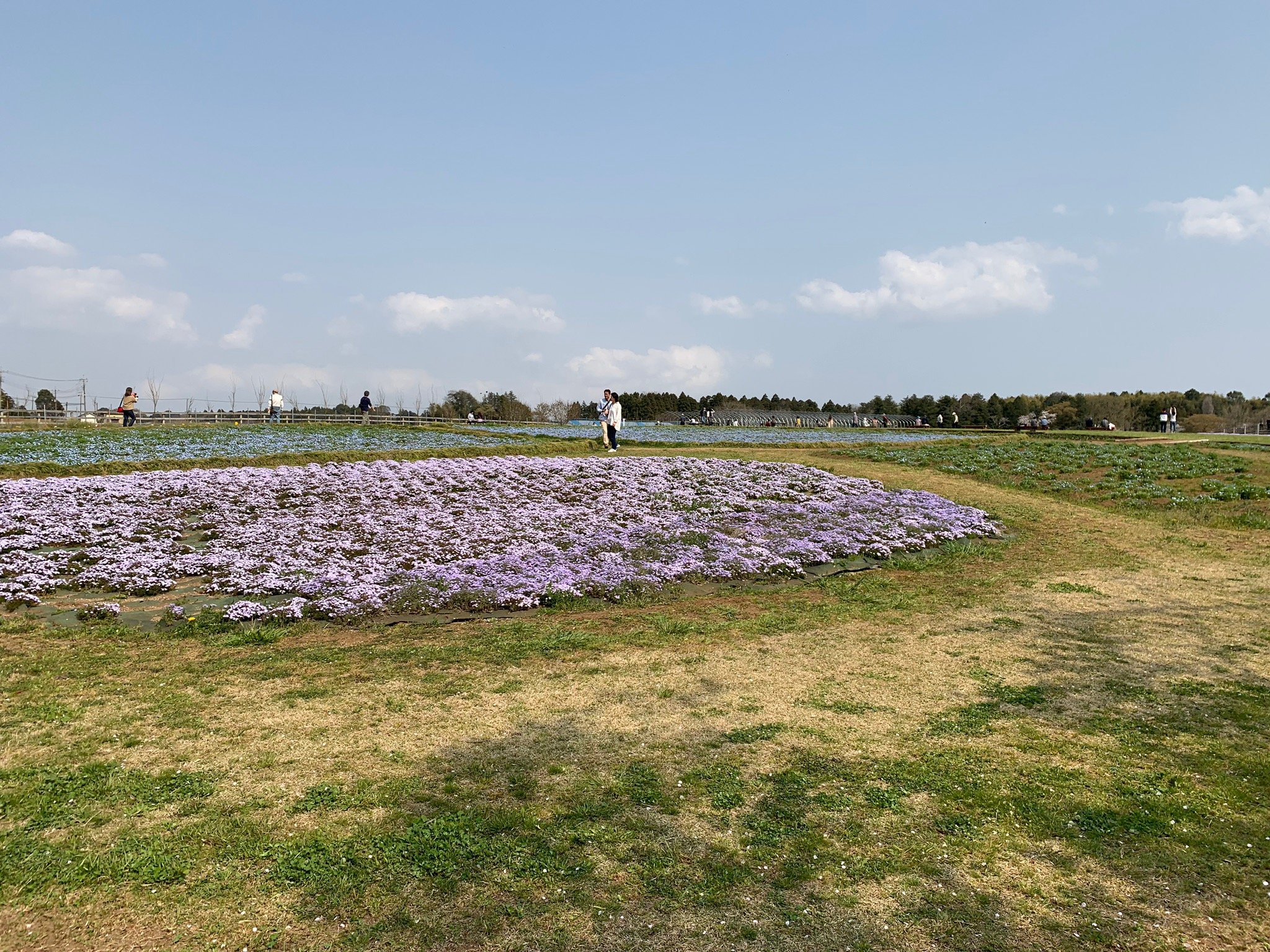 千葉市富田都市農業交流センター ペット オファー