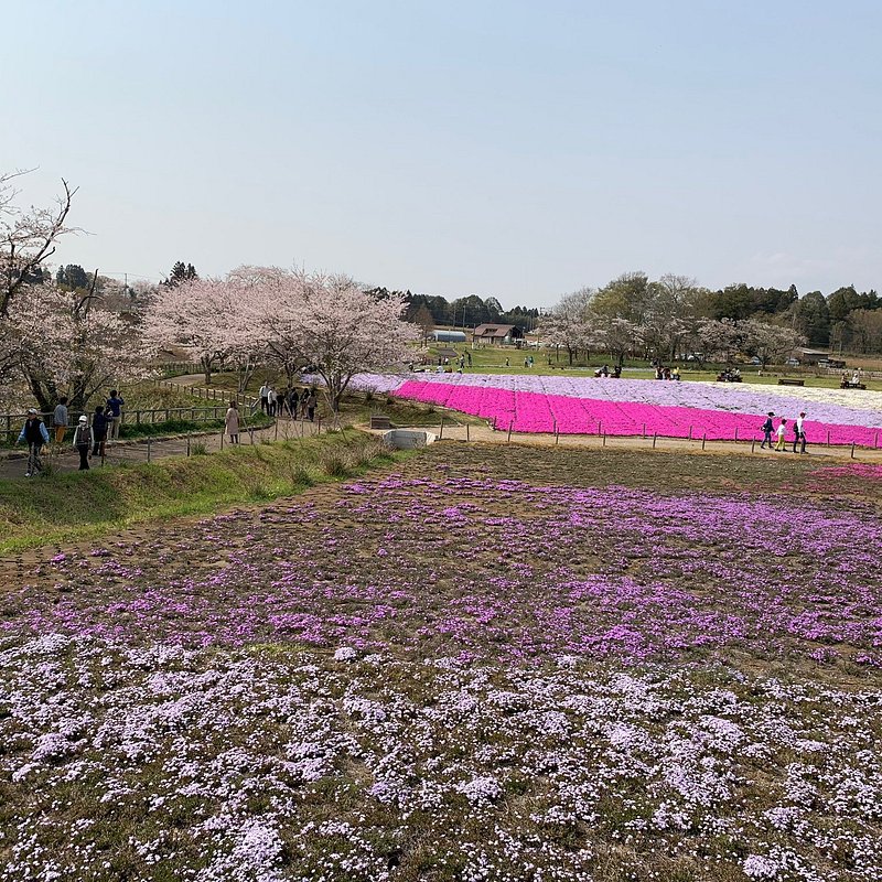 THE 10 BEST Tourist Spots in Chiba 2021: Things to Do & Places to Go