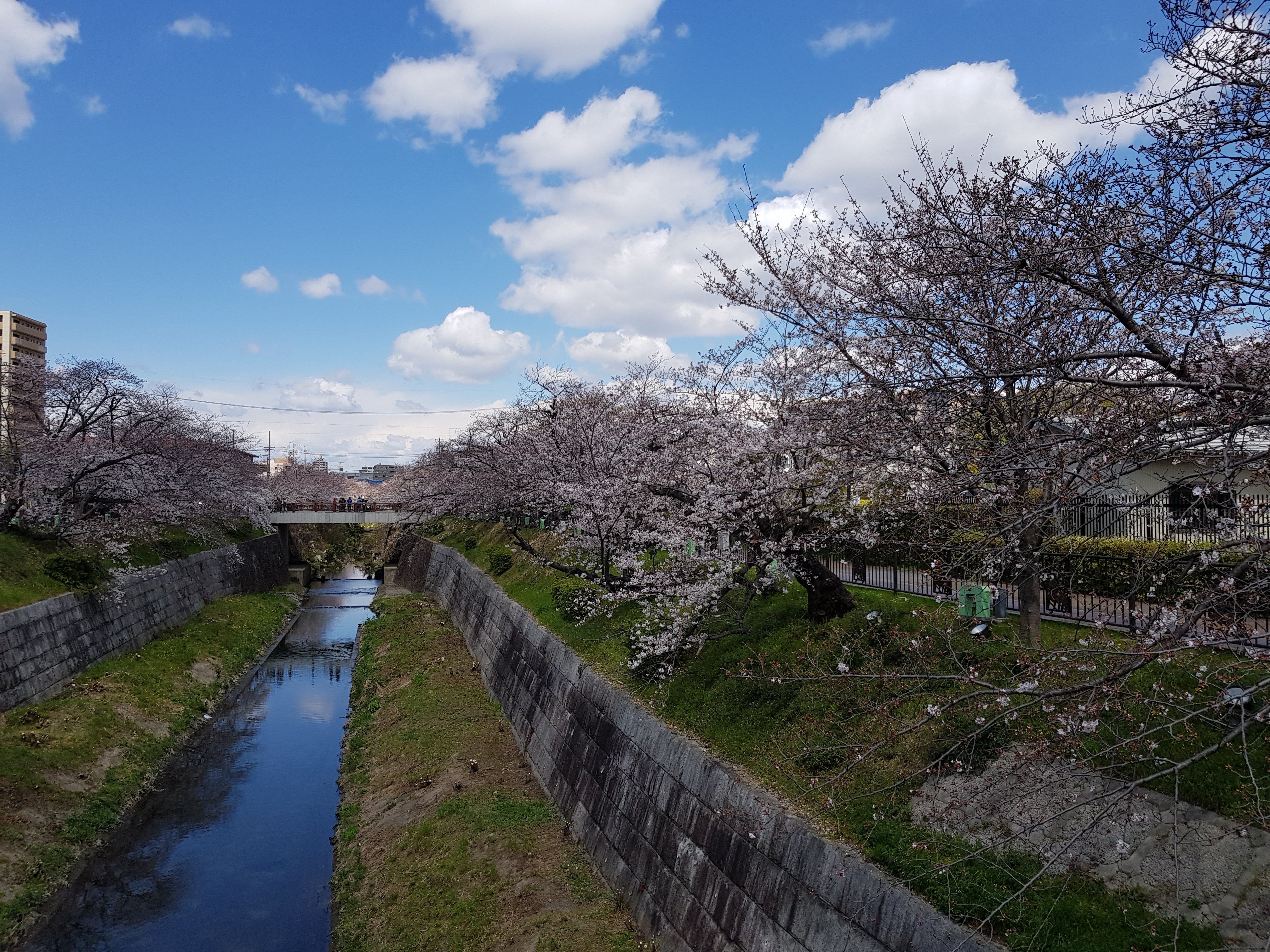 Yamazaki River All You Need to Know BEFORE You Go with