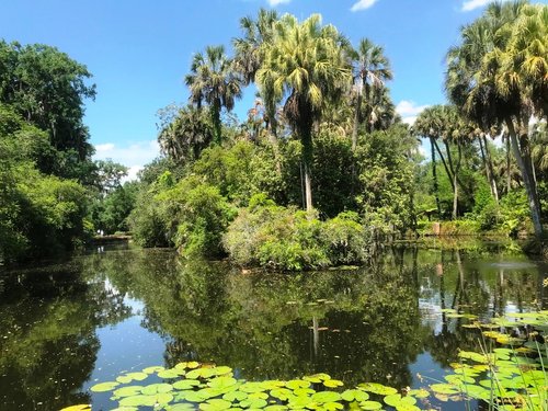 Spook Hill - Things To Do Lake Wales - Visit Central Florida