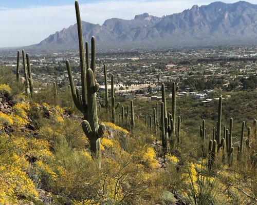 THE 10 BEST Free Things to Do in Tucson (2024) - Tripadvisor