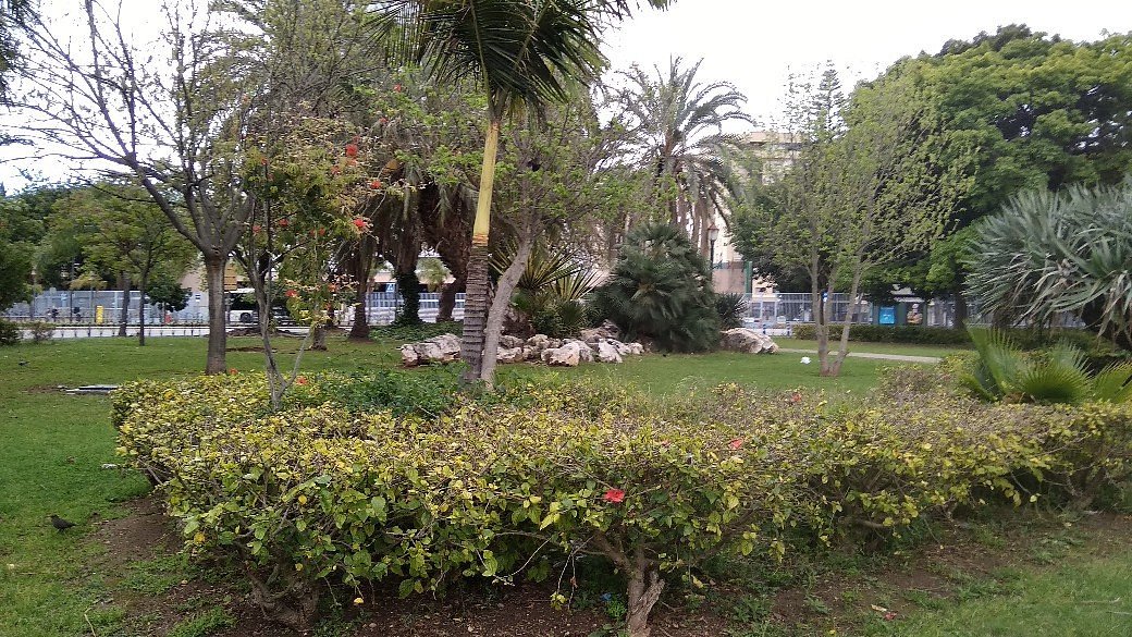 Araucaria Garden & Parking, Málaga – Updated 2023 Prices