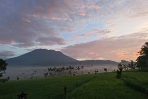 Wisatawan