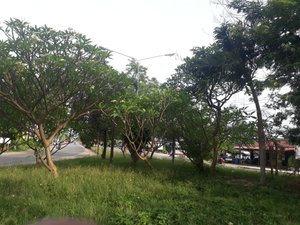 นักท่องเที่ยว