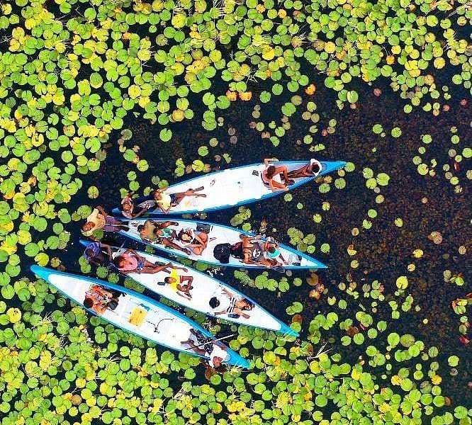 Vilanculos Canoe Safaris image