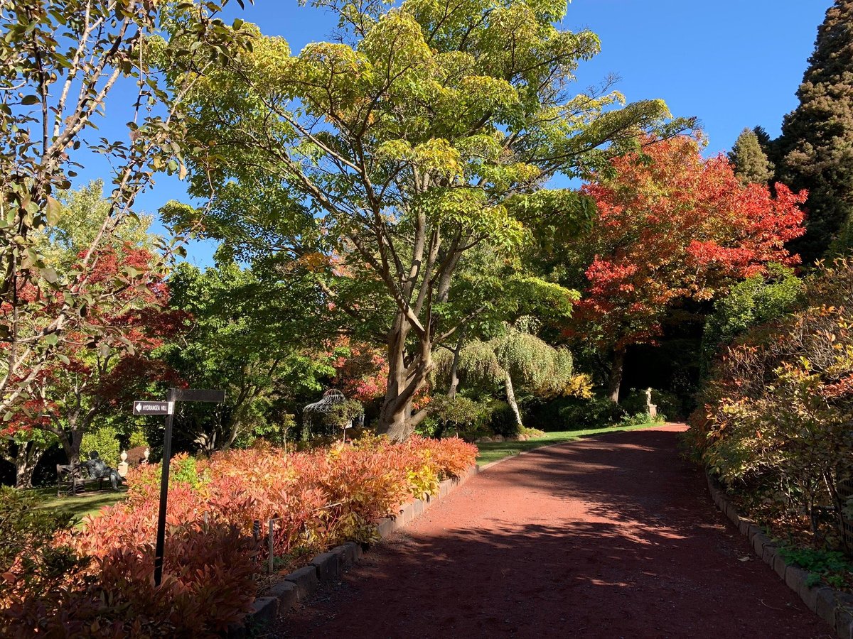 Forest Glade Gardens, Mount Macedon: лучшие советы перед посещением -  Tripadvisor