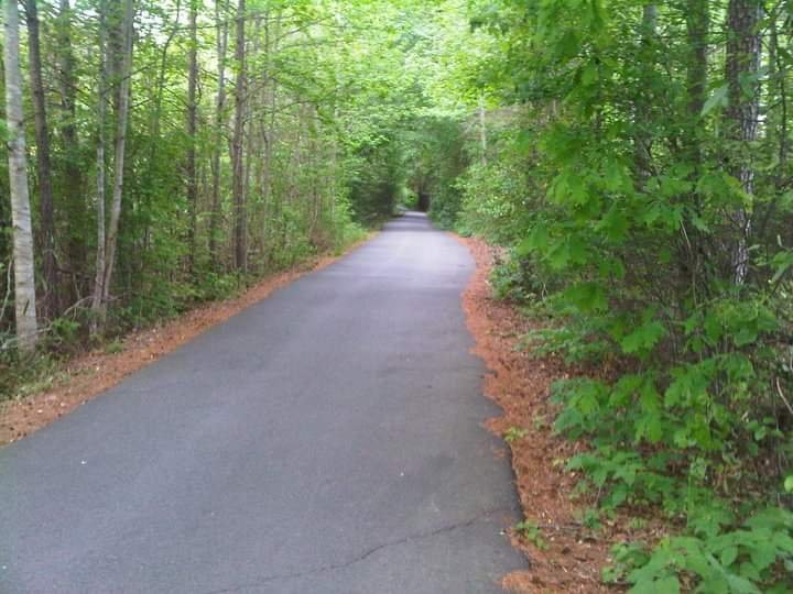 Golf Cart Paths (Peachtree City): All You Need to Know