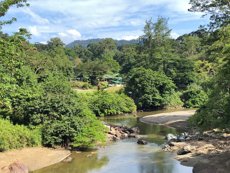 Danum Valley Field Center Updated 2020 Hostel Reviews Lahad Datu Malaysia Tripadvisor