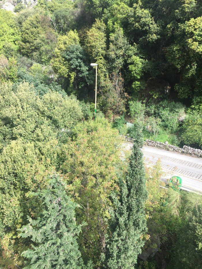 pinewood-hotel-prices-reviews-jeita-lebanon