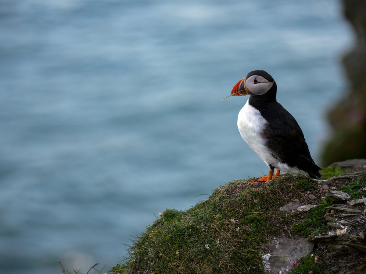 Shetland Explorer Tours - All You Need to Know BEFORE You Go (2024)