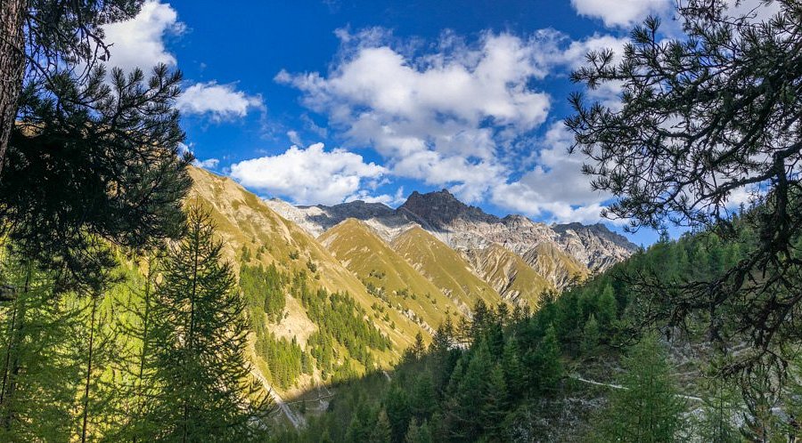Swiss National Park (Parc Naziunal Svizzer) image