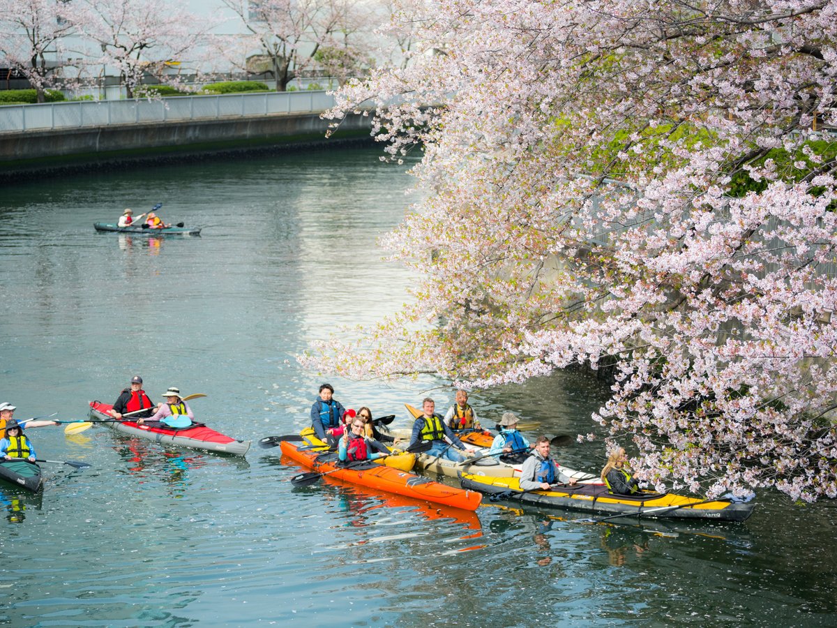 Tokyo Travel Guide  Tokyo Tourism - KAYAK