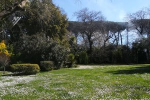 Viaggiatori