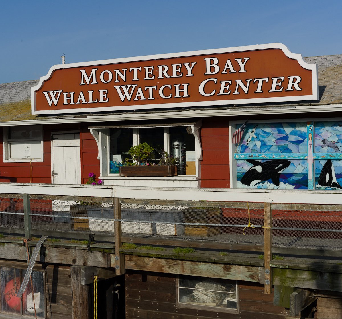 There's a lot to hate': A local's honest review of Fisherman's Wharf