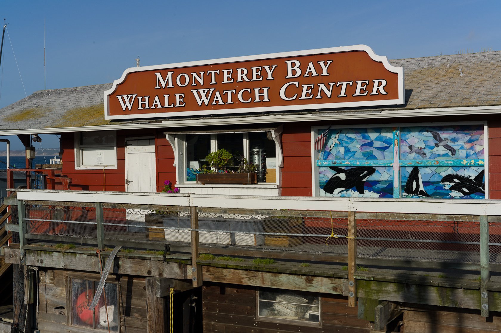 Monterey Bay Whale Watch