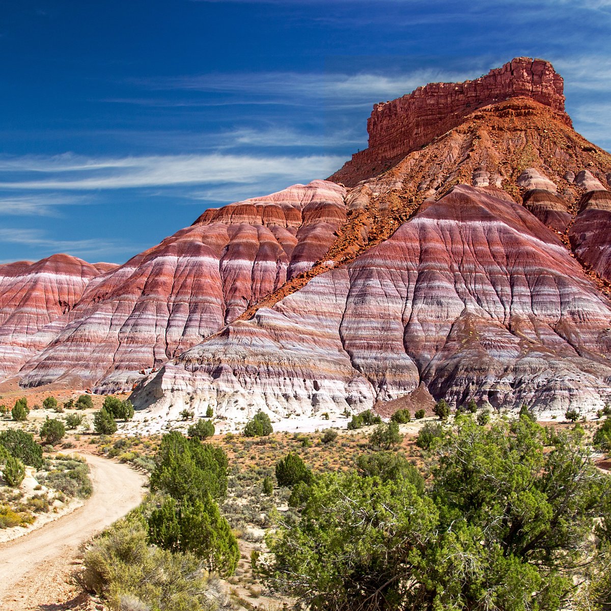 are dogs allowed in paria canyon