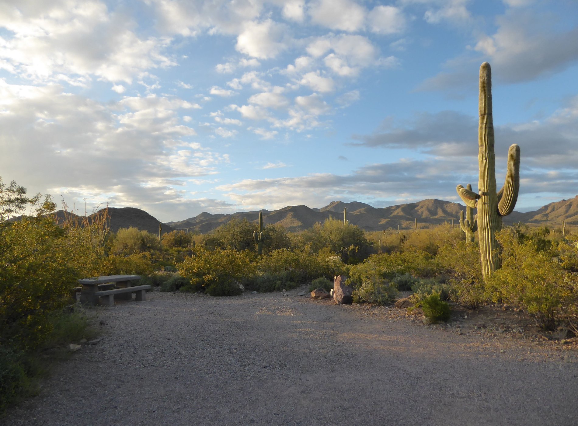 Gilbert Ray Campground by null