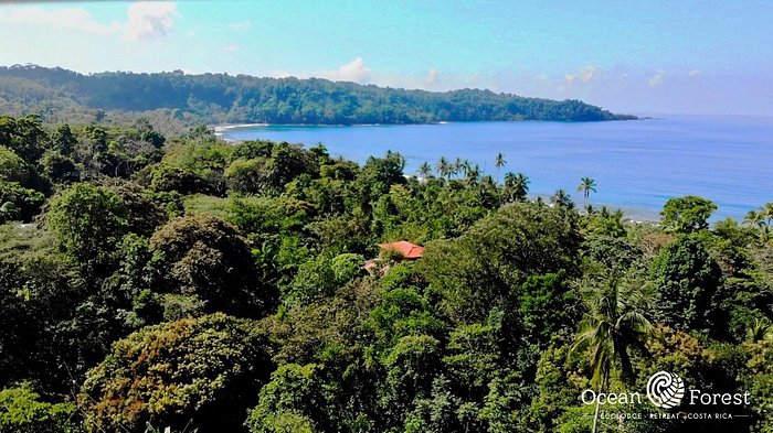 OCEAN FOREST ECOLODGE RETREAT CENTRE, COSTA RICA/DRAKE BAY: 250