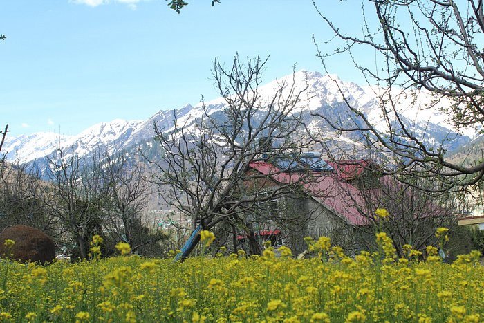 BON VOYAGE - A LUXURY HOMESTAY - Lodge Reviews (Manali, India)