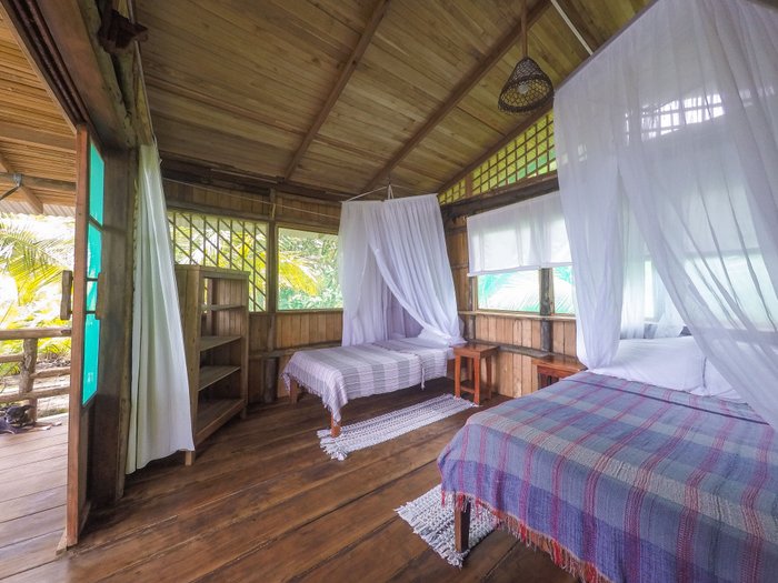 Ocean Forest EcoLodge Retreat Centre – Strand: Fotos und Bewertungen ...