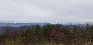 Veterans Overlook on Clinch Mountain - Courageous Christian Father