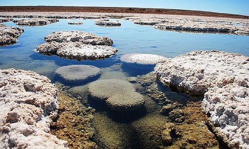 El salar de Llamara se encuentra ubicado en la Región de Tarapacá, en el norte de Chile, en pleno desierto de Atacama a 141 km al sudeste de la ciudad de Iquique. En el mapa está casi al margen del último giro del río Loa hacia el oeste.  Entre sus bellezas se encuentra la presencia de estromatolitos, que son estructuras estratificadas de formas diversas, formados por la captura y fijación de partículas carbonatadas por parte de cianobacterias. Estas cianobacterias llevan más de 3500 millones de