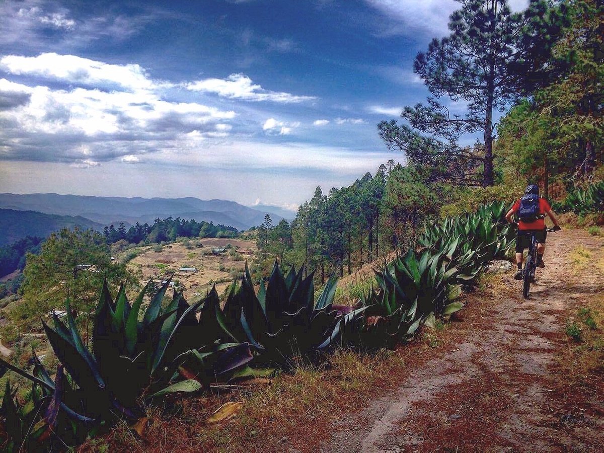 oaxaca bike