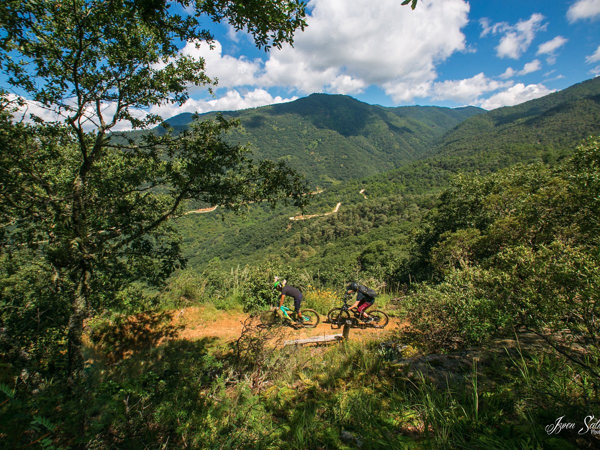 oaxaca bike