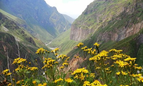 Cañón De Colca