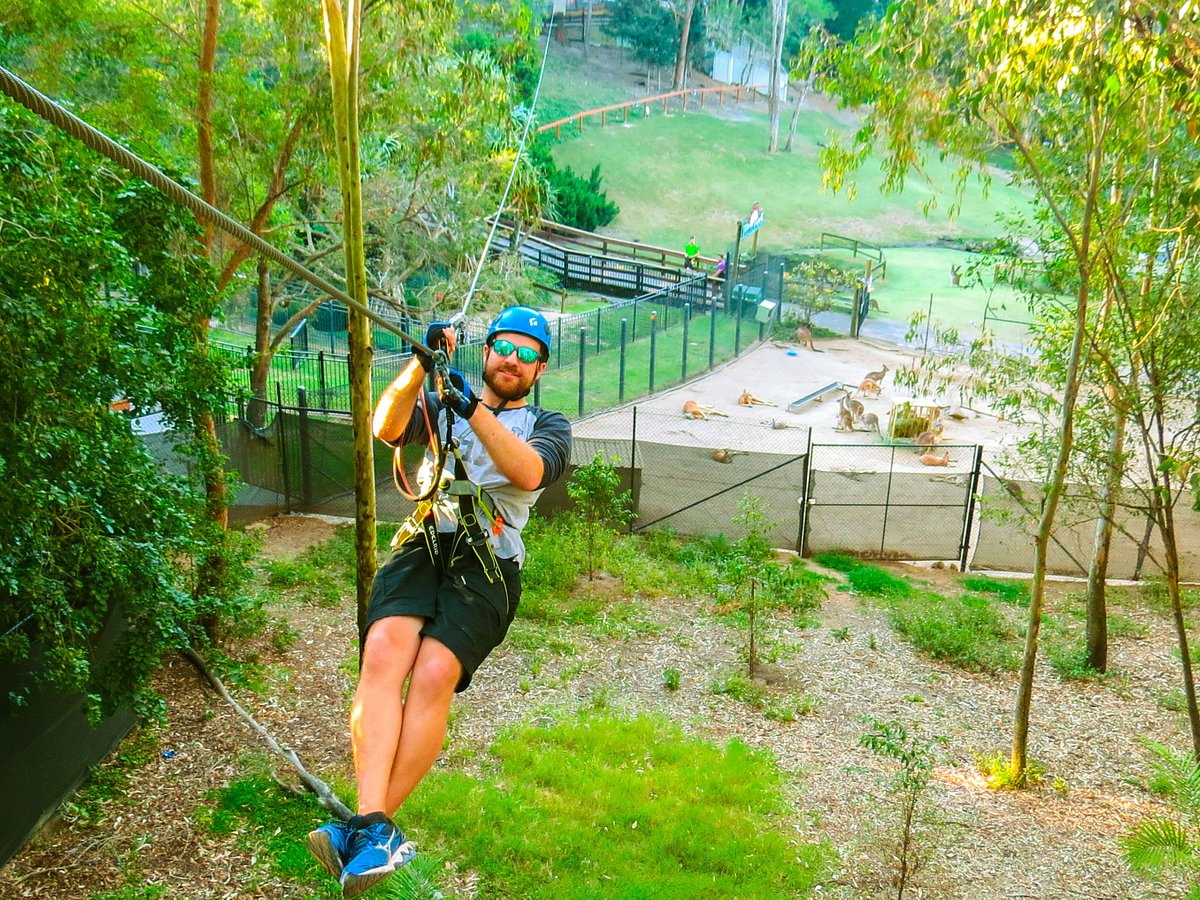 TreeTop Challenge (Currumbin) - All You Need to Know BEFORE You Go
