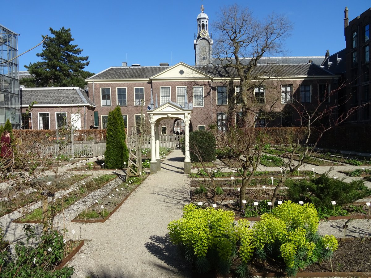 Leiden University Academic Building - All You Need to Know BEFORE You Go