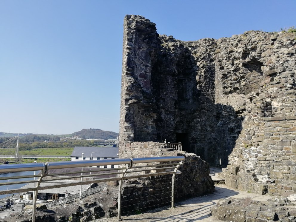 are dogs allowed at carmarthen castle