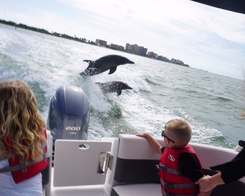 Deep Sea Fishing Fort Myers: Fishing The City Of Palms