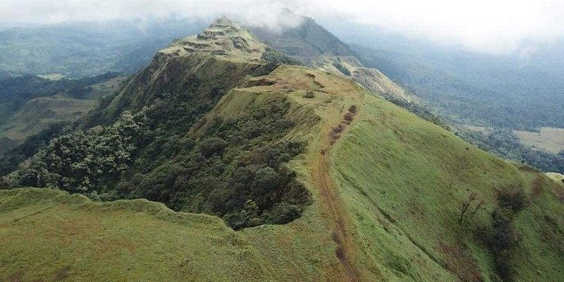 Скопление нимба библиотека в аше. Заповедник Маунт нимба. Гора нимба. Графство нимба. Мон нимба фото.