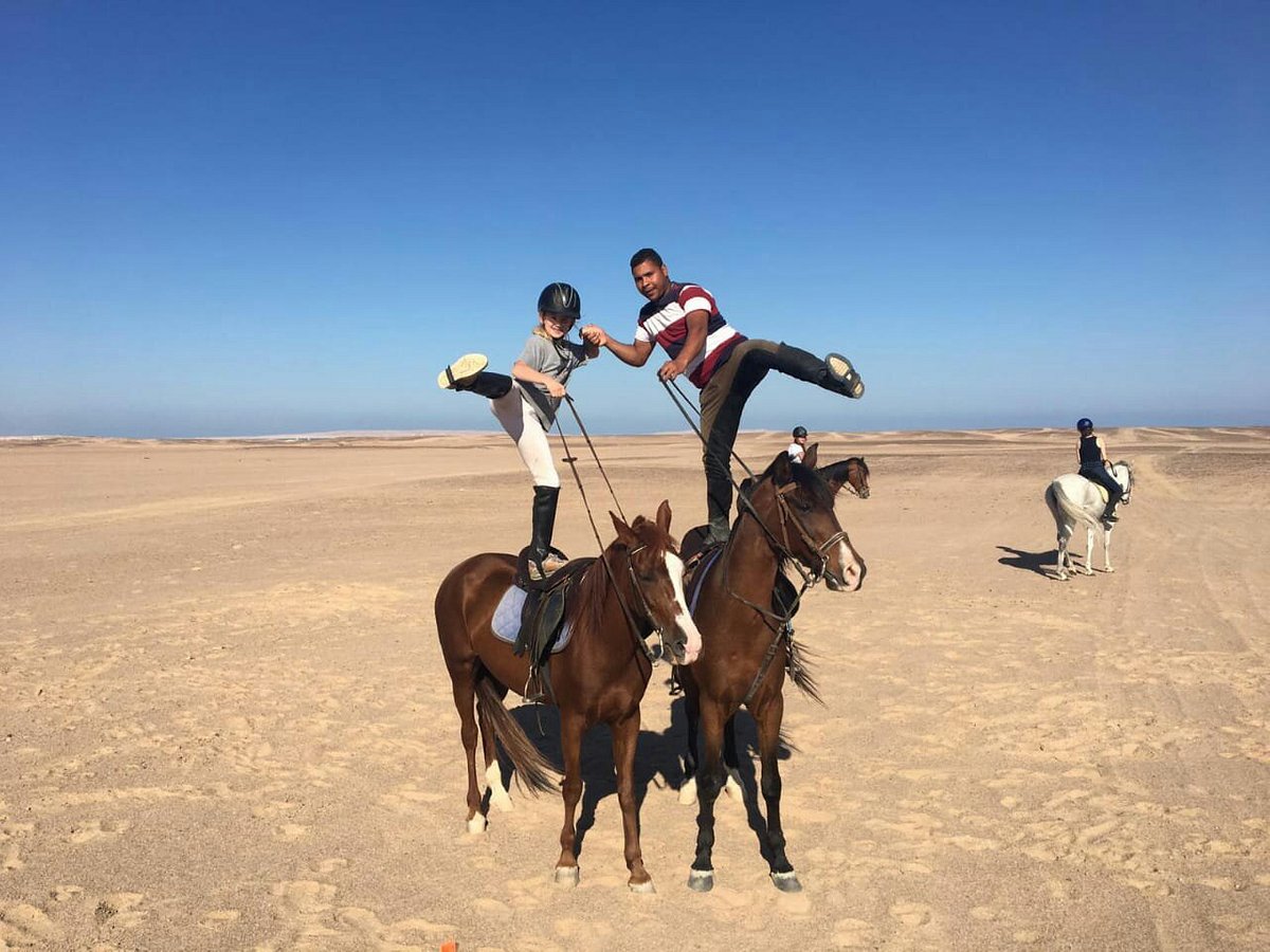 Hurghada Horses, Хургада: лучшие советы перед посещением - Tripadvisor