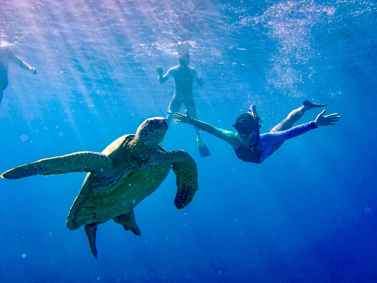 HangLoose Maui Ocean Adventures (Makena) - All You Need to Know BEFORE ...