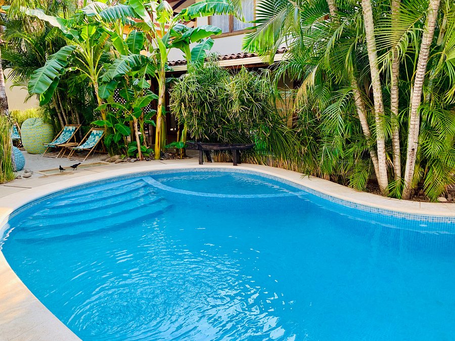 Ten North Tamarindo Beach Hotel 77 1 0 9 Updated 21 Prices Reviews Costa Rica Tripadvisor