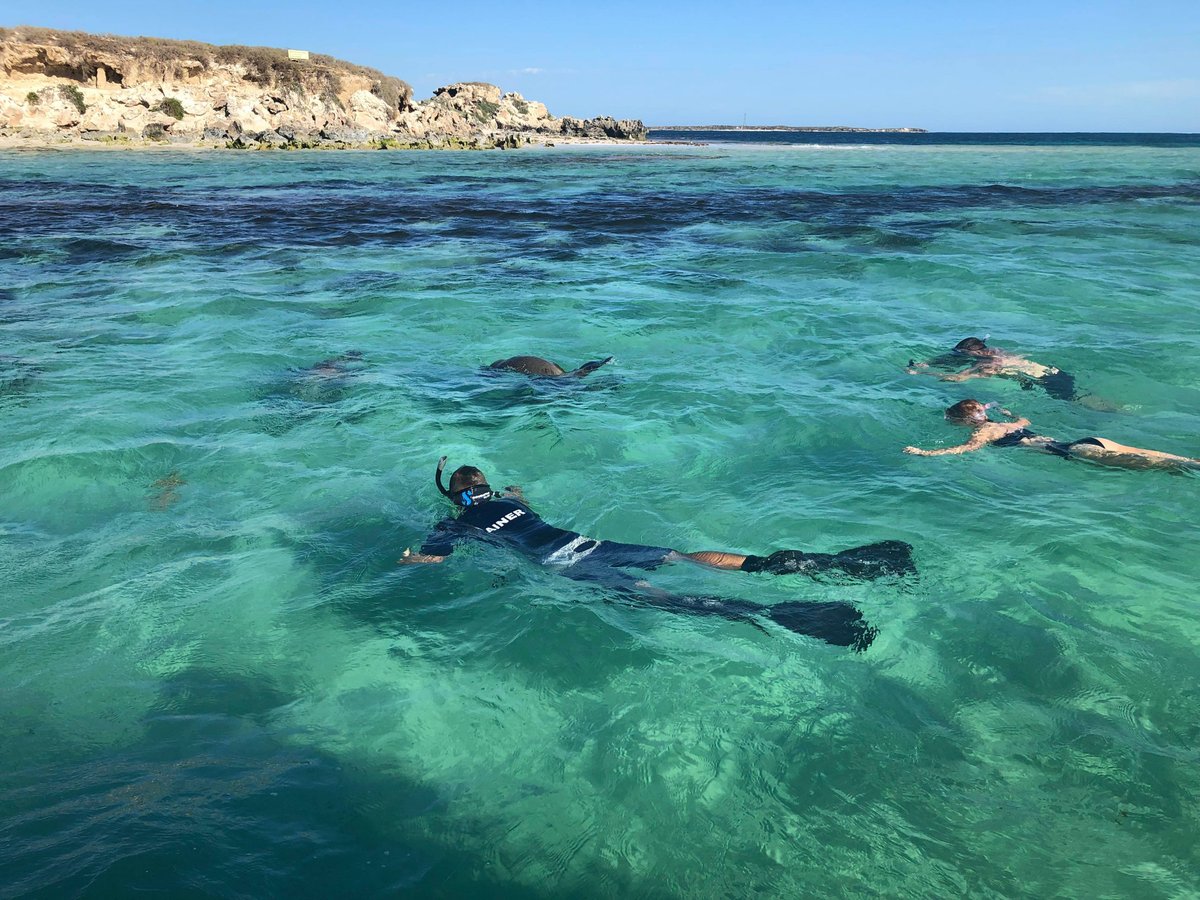 Jurien Bay Oceanic Experience Lo que se debe saber antes de viajar