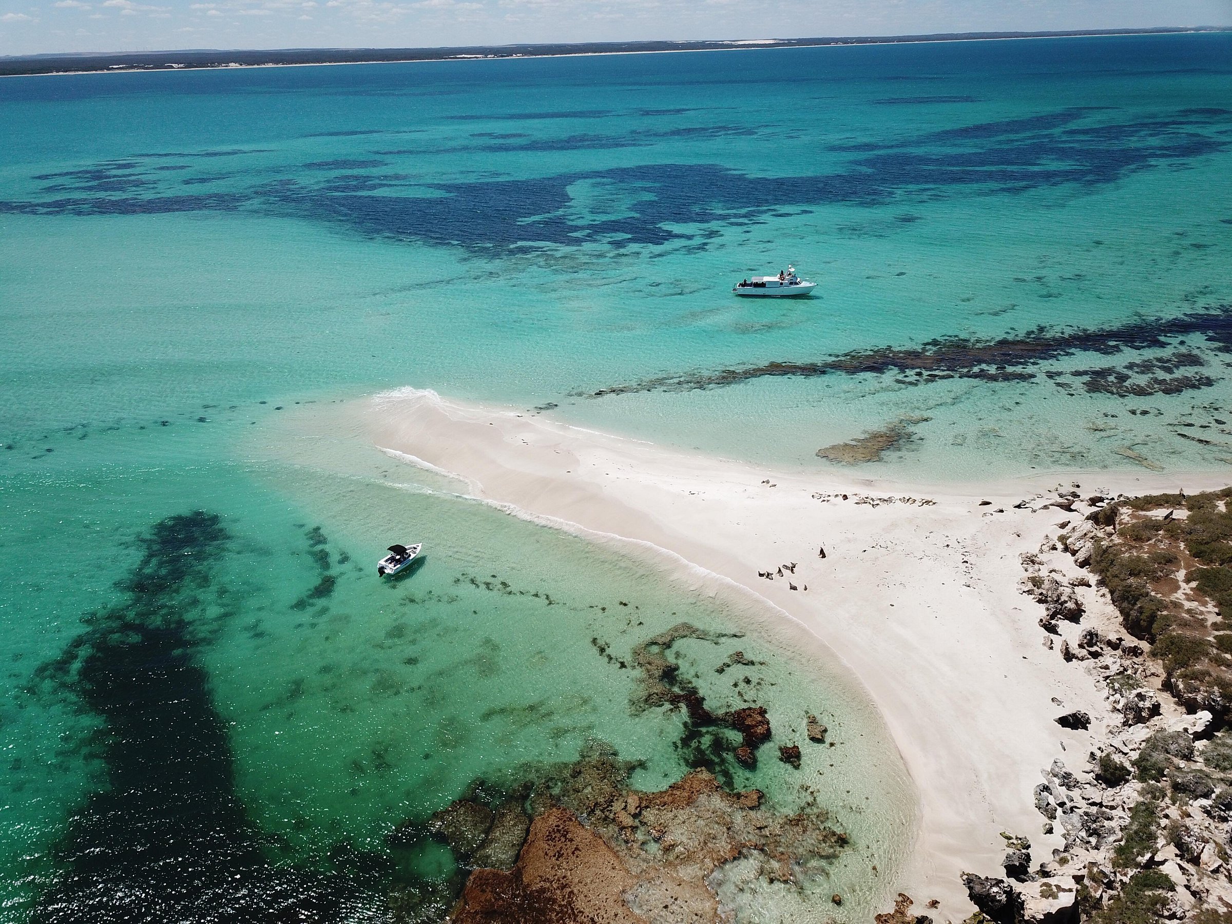 Jurien Bay Oceanic Experience All You Need to Know