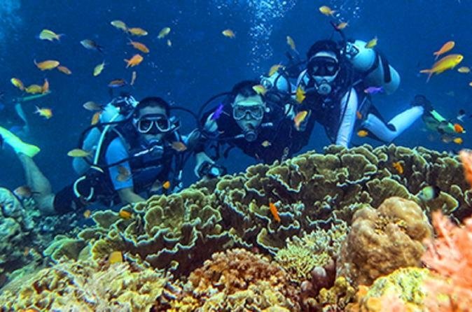 Cebu Fun Dive (condiviso) fornito da CTPH TOUR (2024) - Tripadvisor