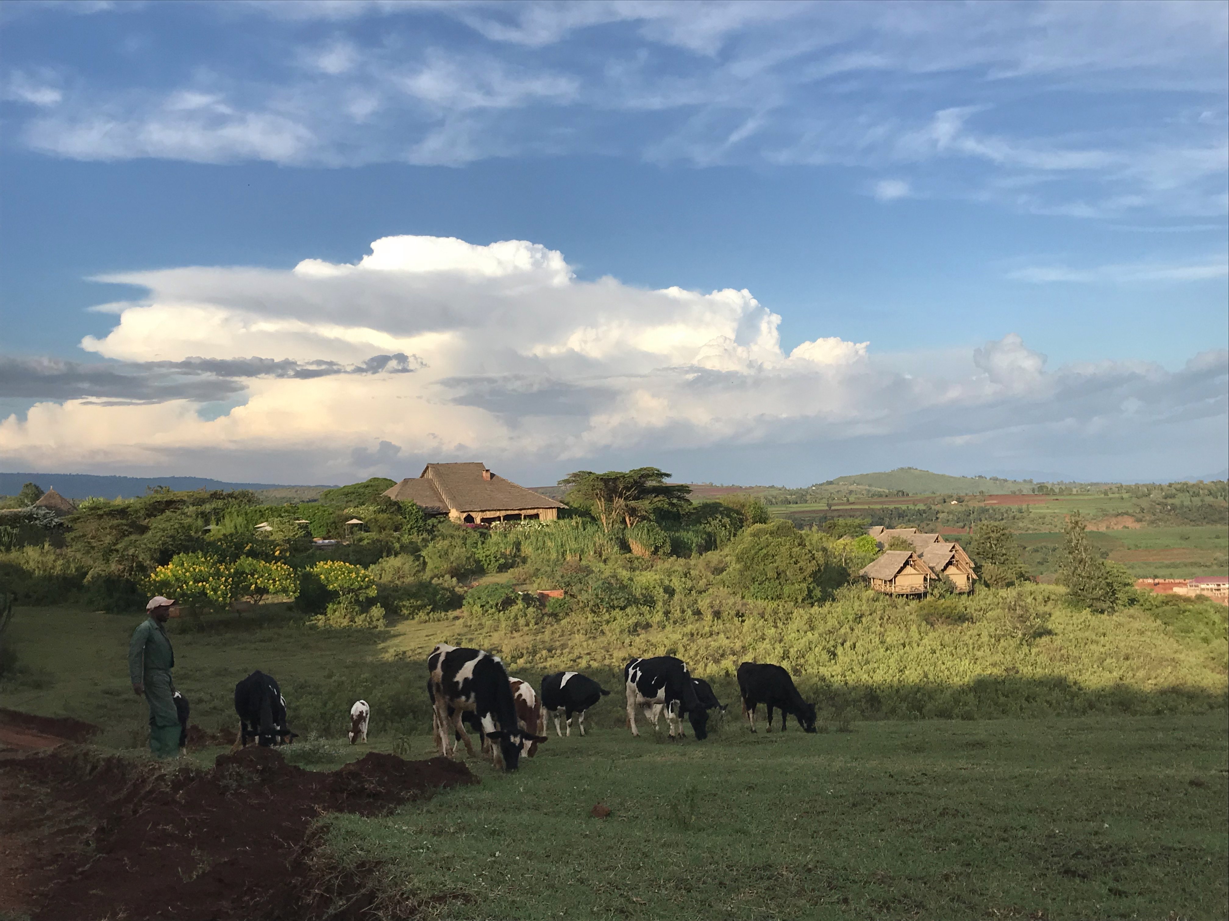 RHOTIA VALLEY TENTED LODGE Updated Rhotia Valley Tented Lodge, Ngorongoro