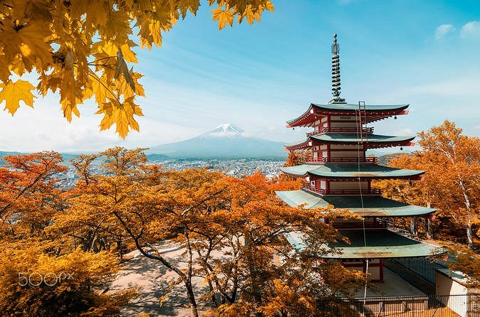 stunning tours reviews japan