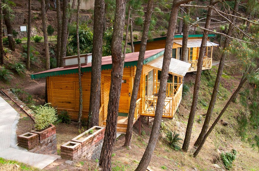 Kasauli Hills Resort 52 6 8 Updated 2021 Prices Hotel Reviews India Tripadvisor Visit us, slow down, pull back, think about happy things and let yourself free. kasauli hills resort 52 6 8