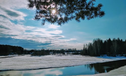 Весна в "Сосновом бору"
